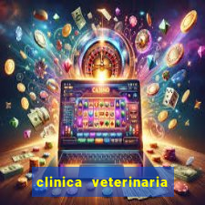 clinica veterinaria cuidar betim